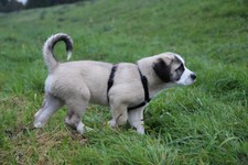 IMG_7332.jpg