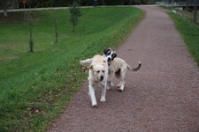 IMG_9299.jpg